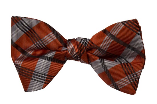 Picture of Burnt Orange Solid Plaid